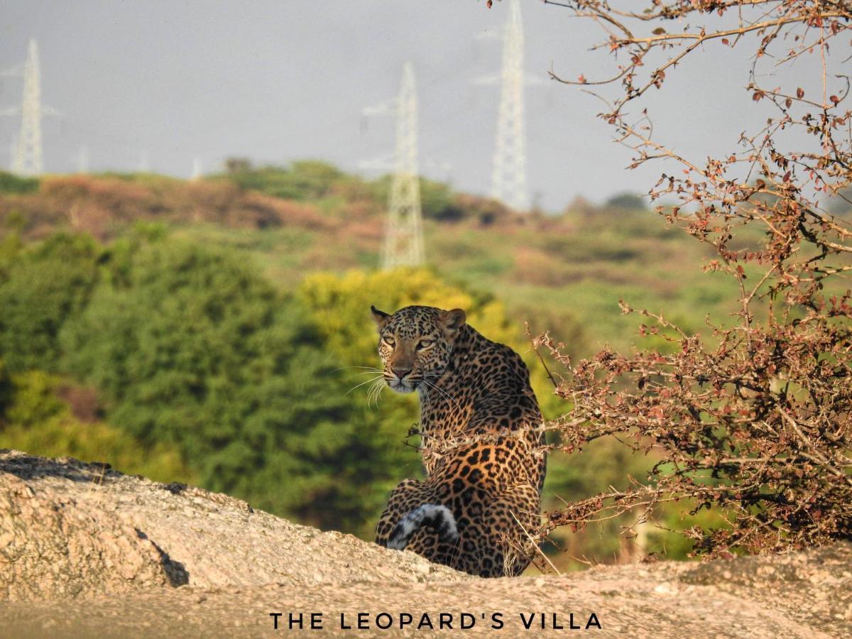 Jawai Leopard Villa Bijapur  ภายนอก รูปภาพ