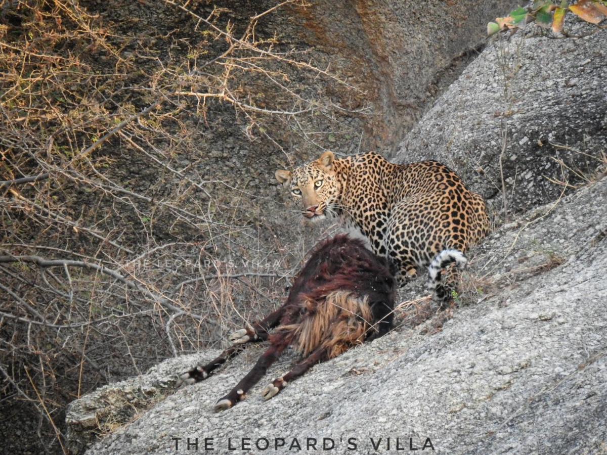 Jawai Leopard Villa Bijapur  ภายนอก รูปภาพ
