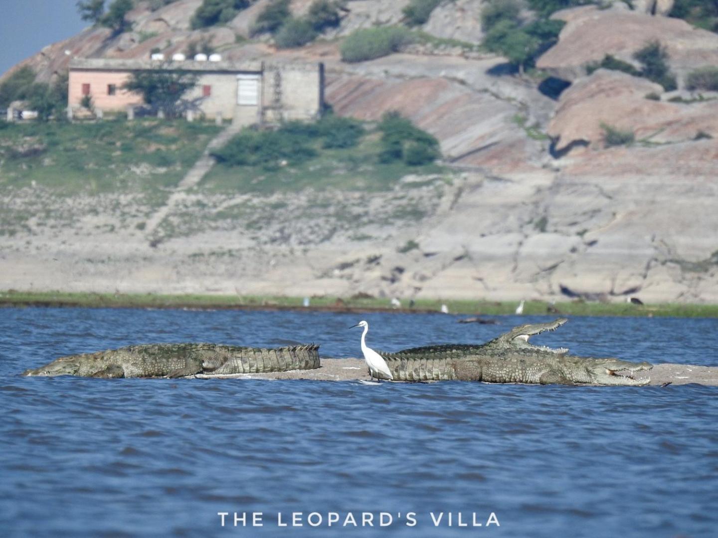 Jawai Leopard Villa Bijapur  ภายนอก รูปภาพ