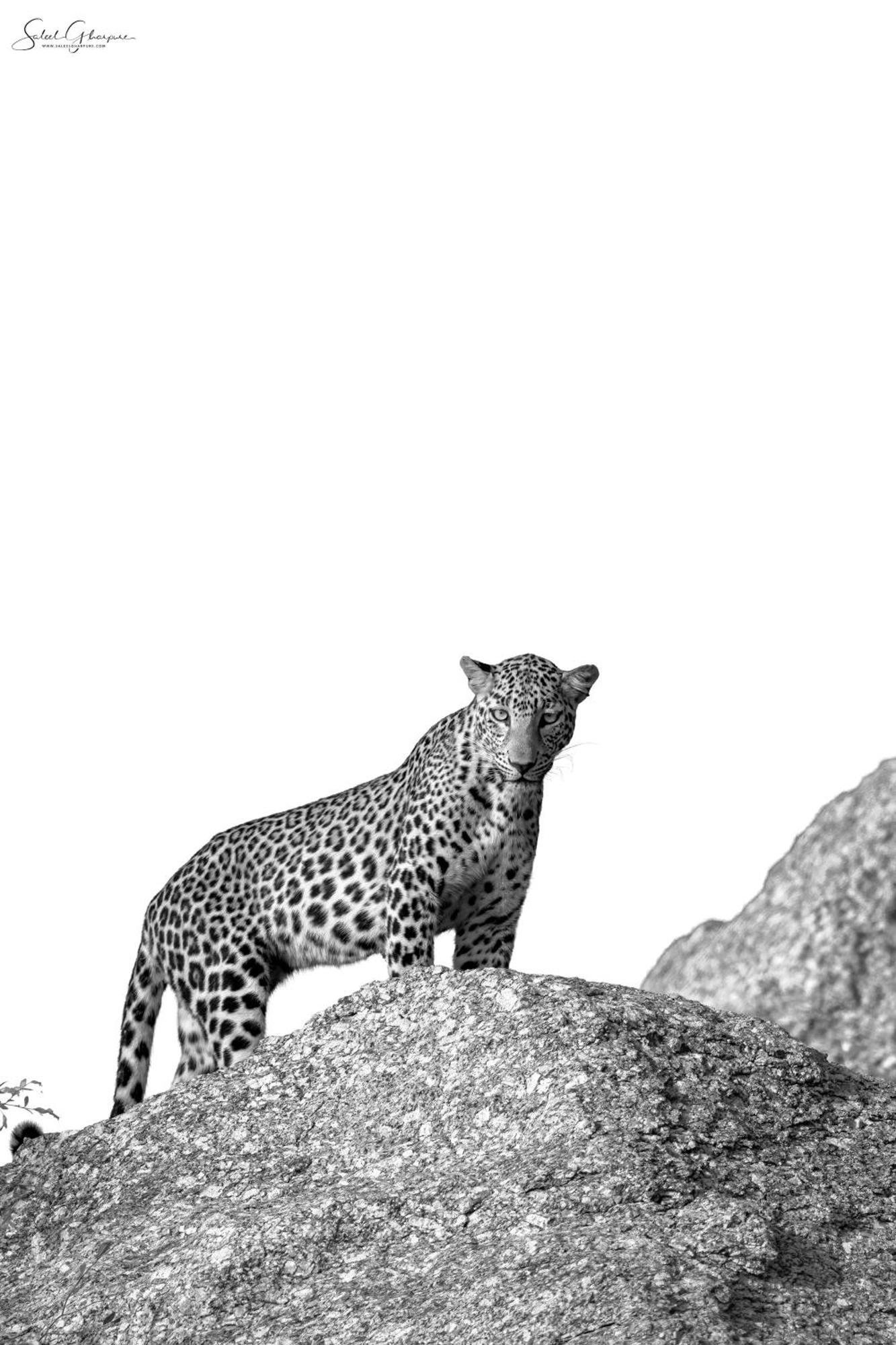 Jawai Leopard Villa Bijapur  ภายนอก รูปภาพ
