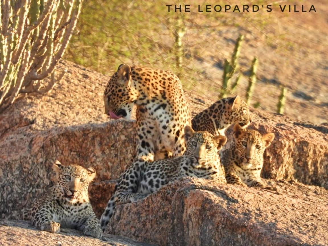 Jawai Leopard Villa Bijapur  ภายนอก รูปภาพ